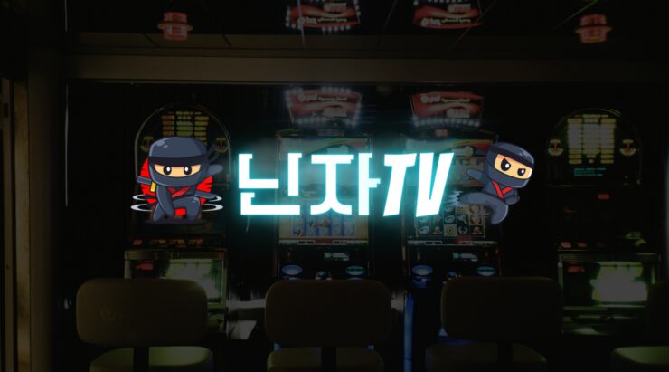 닌자티비 접속 에러 해결 가이드